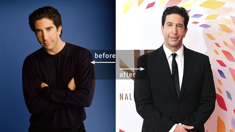 David Schwimmer Then and Now